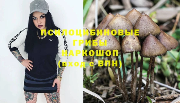 МДМА Бородино