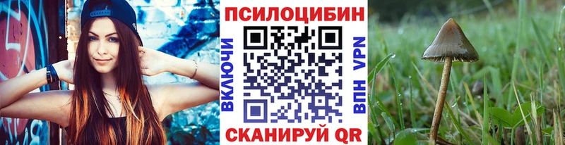 мега маркетплейс  shop состав  Псилоцибиновые грибы прущие грибы  Северобайкальск 
