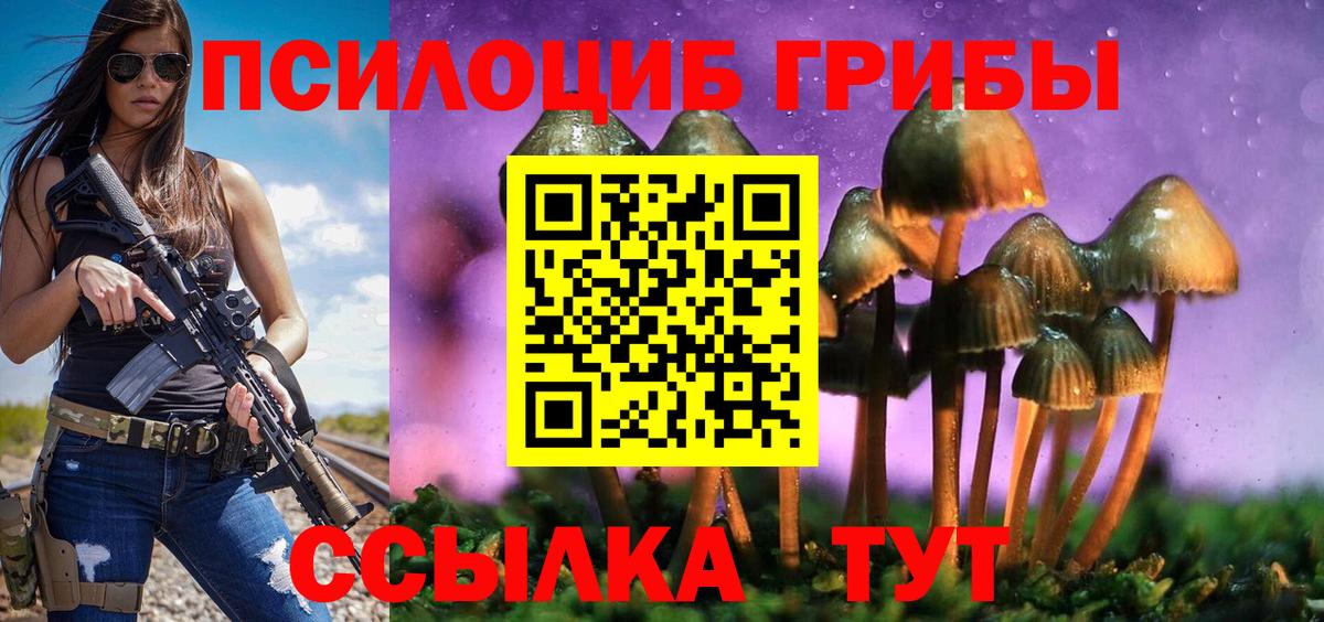 закладки  Псилоцибиновые грибы Cubensis  Вход с VPN  Северобайкальск 